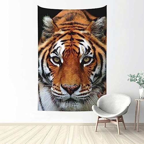 k   ^yXg[ Ǌ| Ǐ @\ Ǌ| Ǐ EH[A[g ͗lւ  A[g  @\ z|X^[  } {I RiF IV wi Free Size