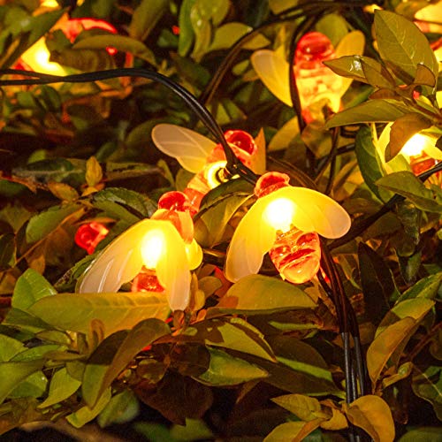 Litogo Luci Solari Esterno Ape,【2 Pacchi 】 10M 60