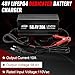 48V 20A LiFePO4 Battery Charger, 58.4V Lithium Battery Charger, Fast Charging, Over-Current and Over-Voltage Protection for 48V Lithium Iron Phosphate Batteries