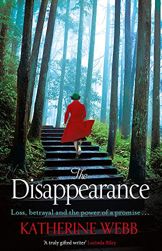 The Disappearance view 2