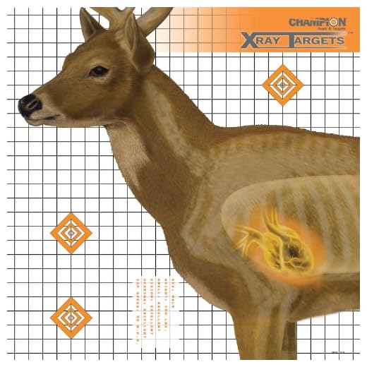 Champion Traps and Targets, Deer Target 25x25 (6 Pack) (45902)