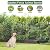 10 Panels Decorative Garden Fence with Gate - 32 in (H) x 23.6 ft (L) No Dig Dog Fence Outdoor for Yard, Rustproof Tall Garden Fencecing Panels, Animal Barrier Suitable for Yard Border, Patio