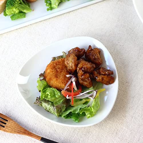 ����t���邨�������f���܂� cerapockke �p���ƖڋʏĂ����������O�p�v���[�g 18cm ���{�� ���Z�� �v���[�g �g���C�A���O�� �O�p�M ���M ���M ���M �r���b�t�F�v���[�g �f�B�i�[�v���[�g