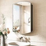 TokeShimi 16x26 Oval Medicine Cabinet with Mirror with Storage Black, Surface Mount or Recessed Medicine Cabinet Arched with Beveled Mirror Metal for Bathroom