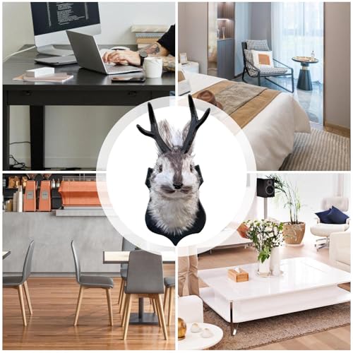 Têtes d'animaux mur d'intérieur : solution déco pour habiller un mur vide - 4