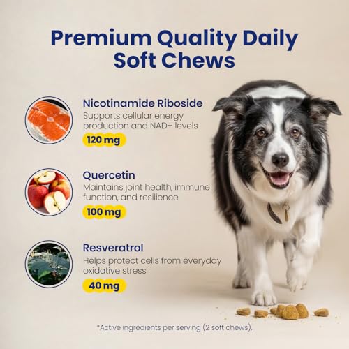 Image of NAD+ Precursor & Senior Dog Supplement - 90 Soft Chews - NMN Alternative for Longevity & Healthy Aging - Nicotinamide Riboside, Resveratrol, Quercetin - Filet Mignon Steak Flavor