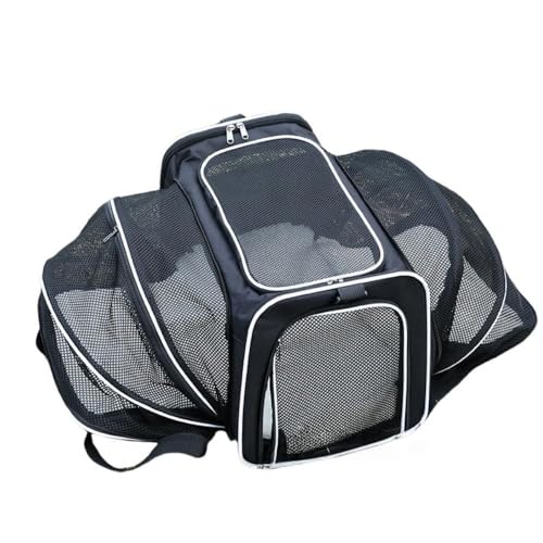 zornik L L[ obO lʊg\ 2WAY bN ybgnEX L[ E^LpE^Ep V[gxgŒ\ ܂肽 ʋC LCȂ ~ɋ p/o/hCu/s/ʉ@/h 8kgω 