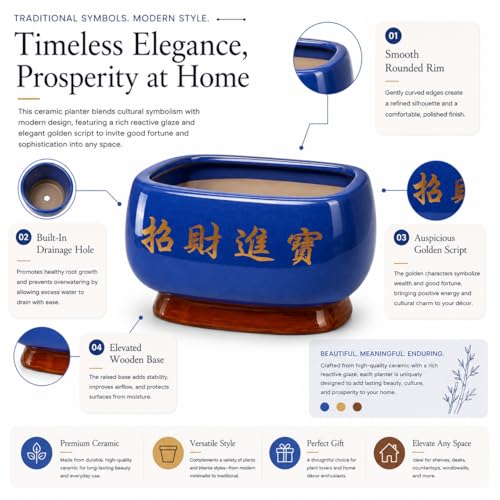 Image of Xtore Elegant Sky-Blue Ceramic Bonsai Planter Pot for Indoor & Tabletop Decor | Glossy Finish Bowl with Artistic Raised Detailing & Sturdy Feet Base (Pack of 1, Planter Only)