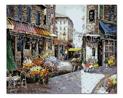 Peinture à l'huile par numéros adultes débutants grand format 40x50 cm avec châssis