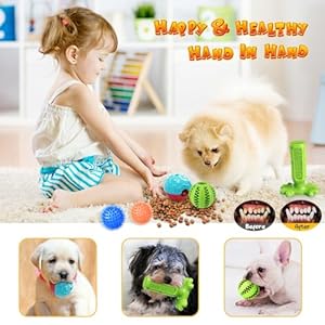 Kipritii 25 Pack Various Puppy Dog Toys for Teething Entertainment  Interaction Puppy Chew Toys Pack with Rope Toys Treat Balls and Dog Squeaky Toys for Puppy  Small Dogs  Cucciolini Doodles Kipritii 25 pack various puppy dog toys for teething entertainment  interaction puppy chew toys pack with rope toys treat balls and dog squeaky toys for puppy  small dogs   cucciolini doodles