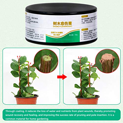 Alvinlite 50g Tree Wound Pruning Sealer, Tree Wound Dressing for Pruned and Damaged Trees Tree Shrub Seal Repair Paste - Image 2
