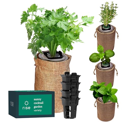 Rise Gardens Mason Jar Herb Grow Kit, Includes Jars and