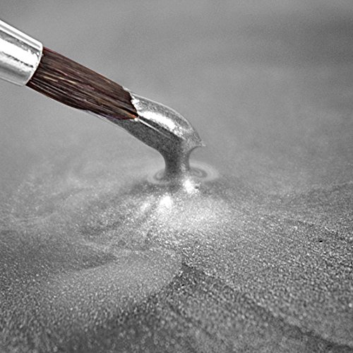 Rainbow Dust 1 X Silver Food Paint