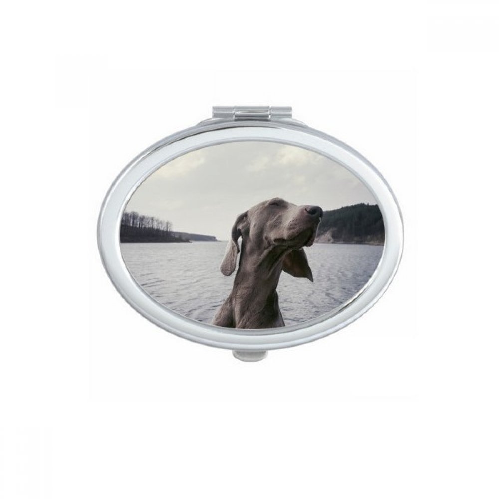 Miroir de maquillage corgi portable pour retouches en voyage
