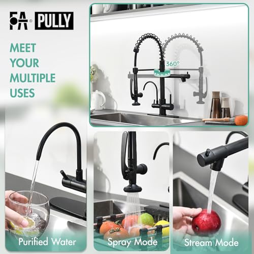 Image of Fapully Commercial Kitchen Faucet with Drinking Water Faucet Matte Black