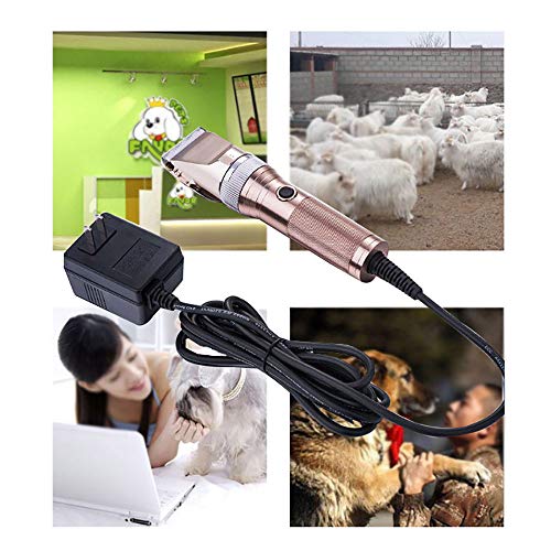 Tosa Pecore Tosatrice Elettrica Per Pecore - 2800 W 6 Marce Velocitu00e0, Per Tosatrice Per Cavalli - Foto 10