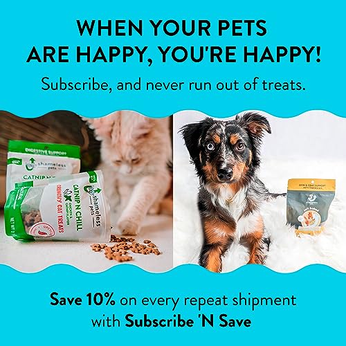 Shameless Pets Crunchy Cat Treats - Kitty Treats For Cats With Digestive Support, Natural Kitten Treats With Real Chicken, Healthy Flavored Feline Snacks - Cran You Say Chicken, 1-Pk #TOP5