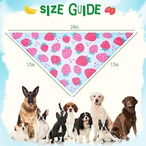 PUPTECK Summer Dog Bandana 4pcs Outfit - Fruit Soft Costume Pet Triangle Bibs Scarf, Pet Accessories Gifts for Small Medium Large Dog Cat Boy Girl Spring PUPTECK Summer Dog Bandana 4pcs Outfit Fruit Soft Costume Pet Triangle Bibs Scarf Pet Accessories Gifts for Small Medium Large Dog Cat Boy Girl Spring