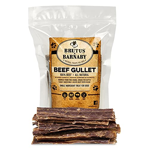 Comparison of Best Esophagus Dog Treats [Experts 2023 Reviews]