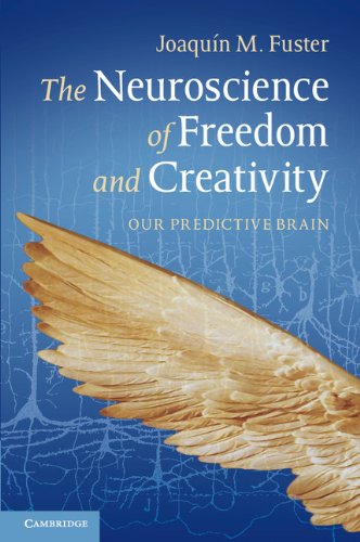 The Neuroscience of Freedom and Creativity: Our Predictive Brain