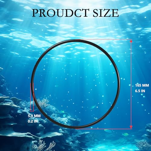 Image of A20038 A-20038 Orings Replacement for Fluval 104, 105, 106, 107, 204, 205, 206, 207 Motor Head Lid Seal Ring （2 Pcs）