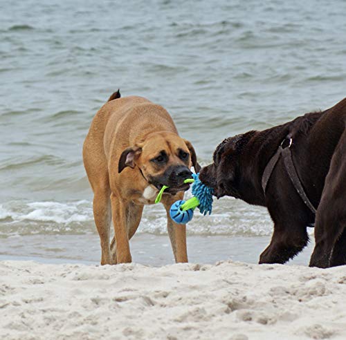 Dingo Mop Bungee Blau Mikrofaser mit Vanille Duft Ball Hundespielzeug Agility Apporte zum Spielen Tauziehen Beweglichkeit Wassertraining 15587-2