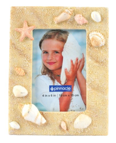 Pinnacle Shells in the Sand Photo Frame