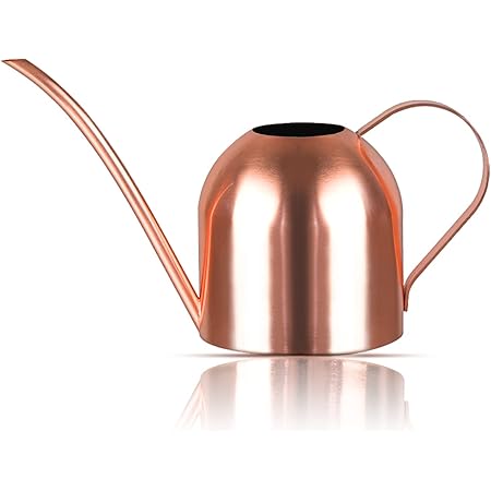 Raguso 300ml Small Stainless Steel Bonsai Watering Can Modern