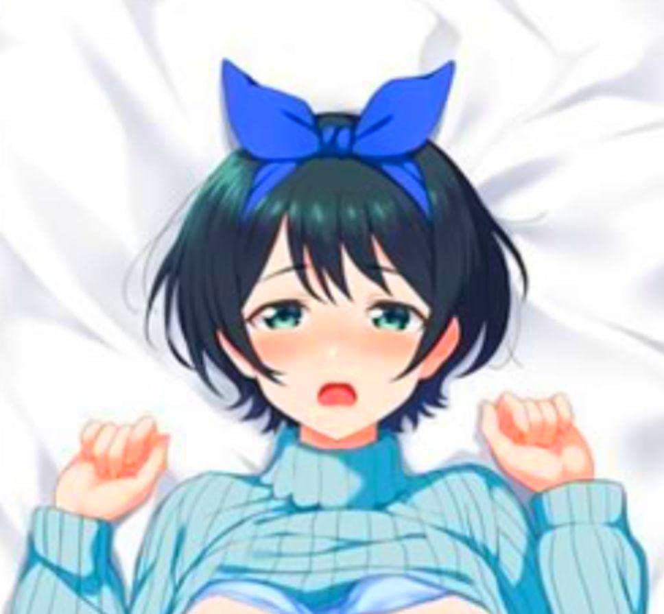 Amazon | 特別版 彼女、お借りします 更科瑠夏ちゃん 抱き枕カバー 