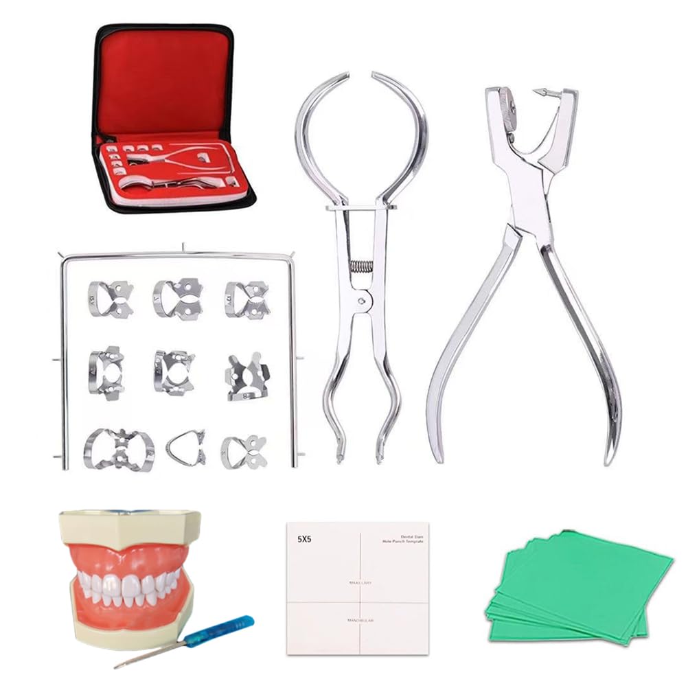 Kit di Diga Dentale Endodontica con Modello, Strumento per Diga Dentale, per Esame del Professionista Odontoiatrico
