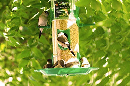 Amijivdaya-Large-Bird-Feeder-with-Holding-Handle-Green