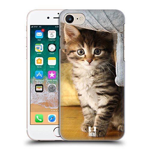 Coque rigide iPhone 7/8/SE motif chat protège rayures
