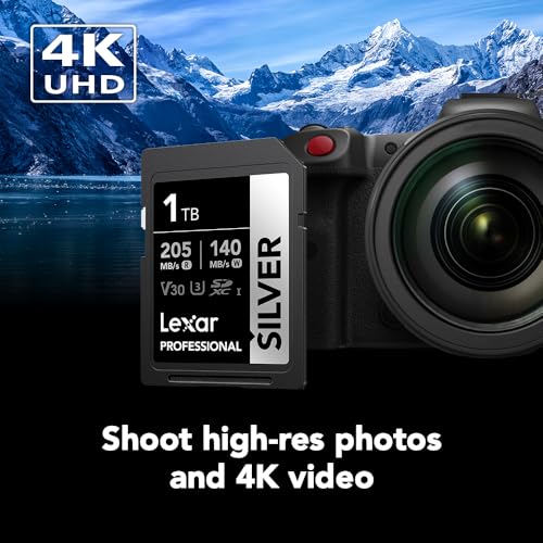 Image of Lexar 1TB Professional Silver SD Card, UHS-I, C10, U3, V30, 4K, Up to 205 /140 MB /s SDXC Memory Card, for Professional Photographer, Videographer, Enthusiast (LSDSILV001T-BNNNU)