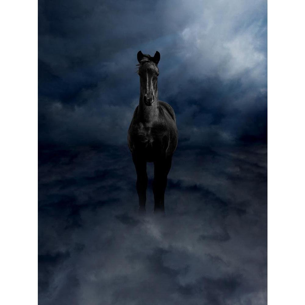 Pitaara Box Pegasus Black Steed Peel & Stick Vinyl Wall Sticker 28 X 37.2Inch