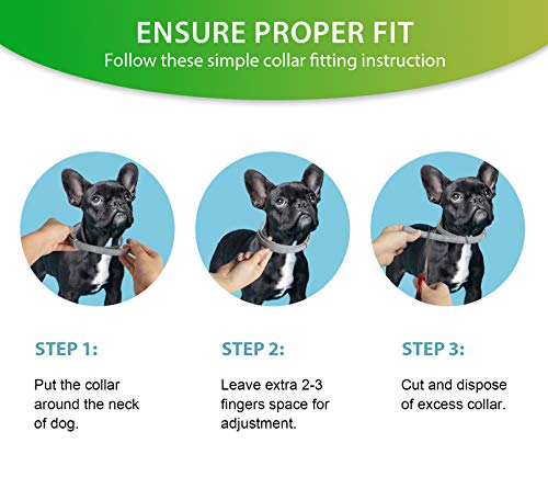 2 Pack Flea and Tick Prevention for Dogs Purple, Prevention, Treatment of Flea & Tick for 8 Months, Natural Ingredients Dog Flea Collars, Waterproof, Free Comb, 25 inches - Image 3