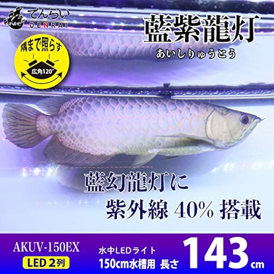 シ*ウ様 でんらい製 紫熟龍灯 (ナイトメロー/UV100A)アロワナ色揚げ シ*ウ様 でんらい製 紫熟龍灯 (ナイトメロー/UV100A)アロワナ色揚げ