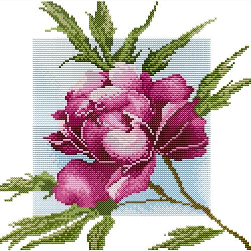 CROSSDECOR Cross Stitch Kits for Adults Beginners Full Range of Cross-Stitch Kits Stamped Embroidery Set Flower Patterns Arts Craft Kits for Home Wall Decor