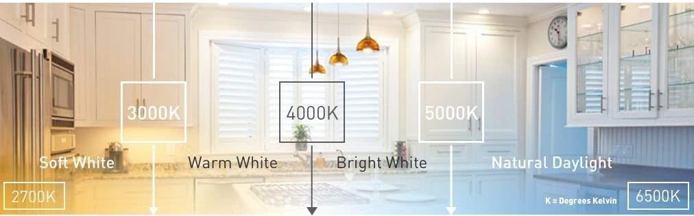 Ecosmart Daylight LED BR30 Dimmable Flood Bulb, 65W Replacement, 9 Watt, 685 Lumens - 5000K - Indoor/Outdoor Rated (12-Pack)