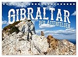 Gibraltar - der Affenfelsen (Tischkalender 2023 DIN A5 quer), Calvendo Monatskalender - Carina Buchspies 