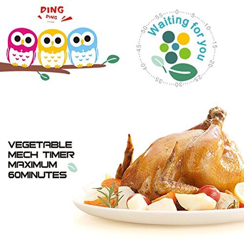 Image of (Orange) - Golandstar Cute Cartoon Owl Timers Mini Size 60 Minutes Mechanical Kitchen Cooking Timer Clock Loud Alarm Counters Manual Timer (Orange)