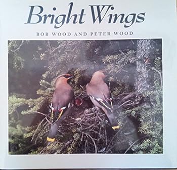 Hardcover Bright Wings Book