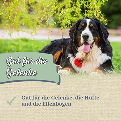 Krauterie Weidenrinde Hund, Einzelfuttermittel für Hunde (100 g), Weidenrinde Pulver in Spitzenqualität