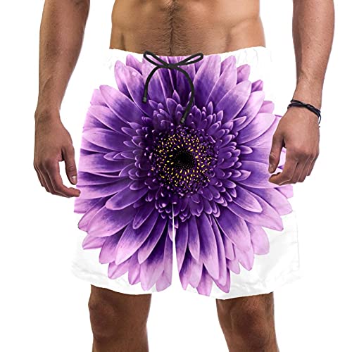 Maillots de bain pour hommes contre l'humidité short de plage pourpre