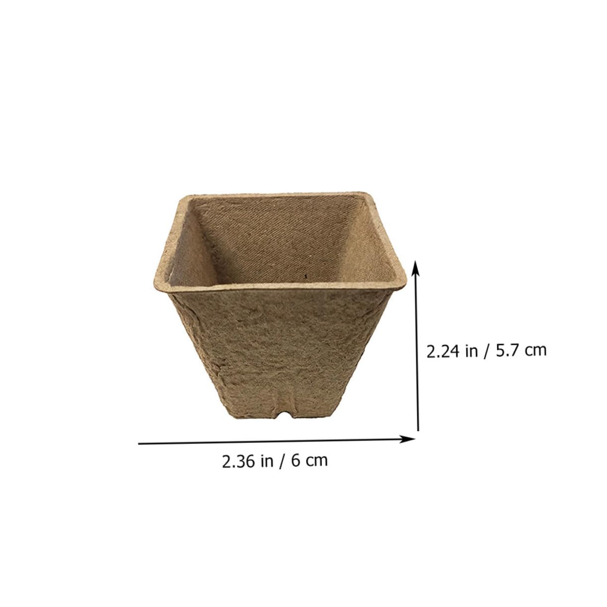 TOYANDONA 100pezzi Tazza Di Carta Per Coltivazione Vivaio Produzione Vivaistica Vaso Per Piante Degradabile Adatto Per Piantagione Di Succulente e Trapianto
