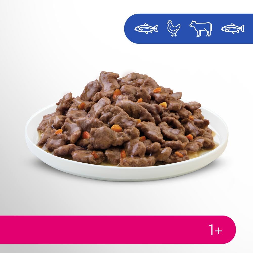 Perfect Fit Adult 1+ Katzennassfutter Auswahl mit Lachs, Hochseefisch, Rind und Huhn, 48 Portionsbeutel, 12x85g (4er Pack) – Premium Katzenfutter nass, für erwachsene Katzen ab 1 Jahr