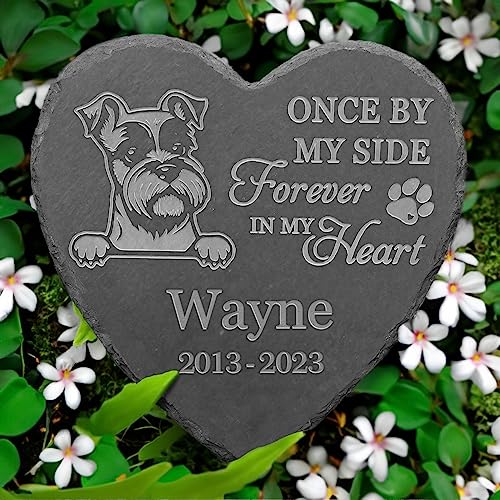 VAPCUFF Personalized Miniature Schnauzer Memorial Stone, Miniature Schnauzer Outdoor Memorial, Miniature Schnauzer Loss, Miniature Schnauzer Passed Away, in Memory of Miniature Schnauzer