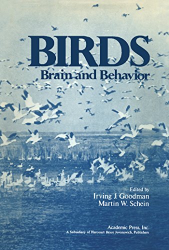 Birds: Brain and Behavior