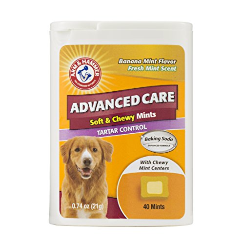 Arm & Hammer Dog Dental Care Tartar Control Soft & Chewy Mints for Dogs | Reduces Plaque & Tartar Buildup Without Brushing, .74 ounces (40 Pcs), Banana Mint Flavor