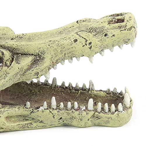 Terratlantis TD Crocodile Head 13,5Cm