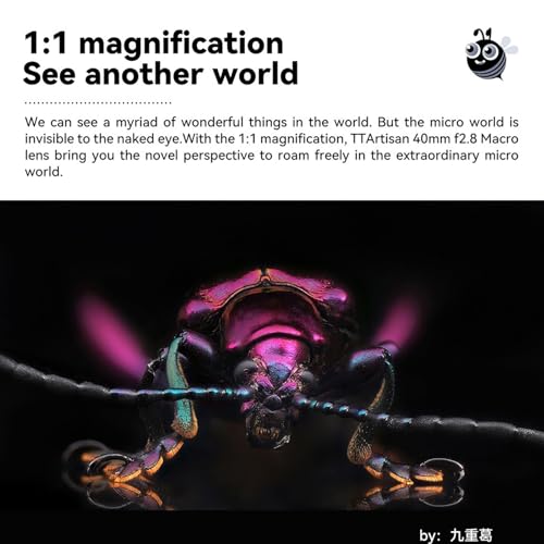 Lente Macro TTArtisan 40mm F2.8 E-Montura para Sony - Fernando Cortés